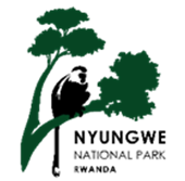 Nyungwe Management Company Ltd (NMC Ltd) logo